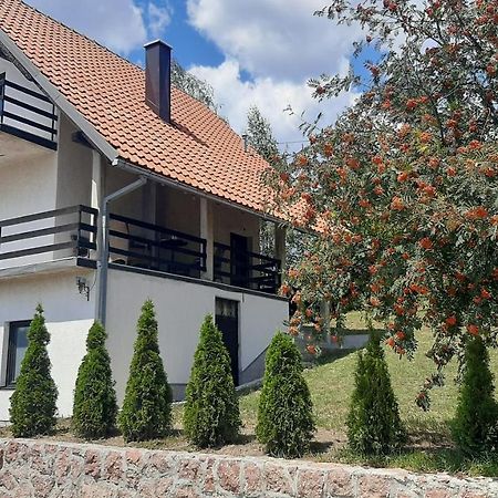 Villa Kuca Sa Pogledom Na Tornik Zlatibor Exterior foto