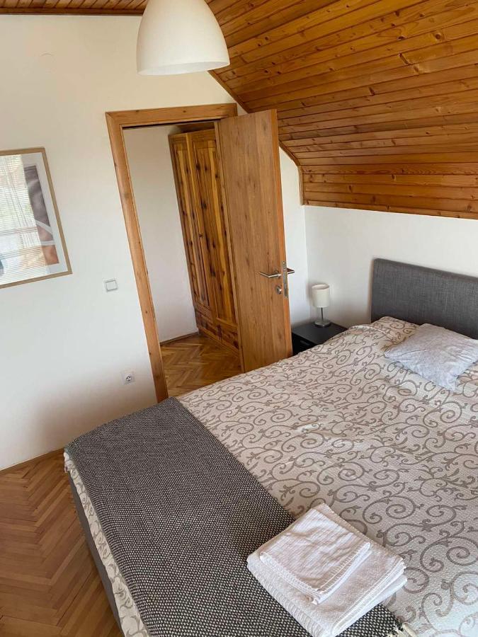 Villa Kuca Sa Pogledom Na Tornik Zlatibor Exterior foto